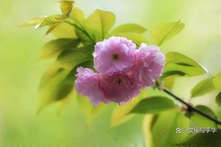 “让你过个好春节”？国足在春节前出局，中国男篮在春节后输日本